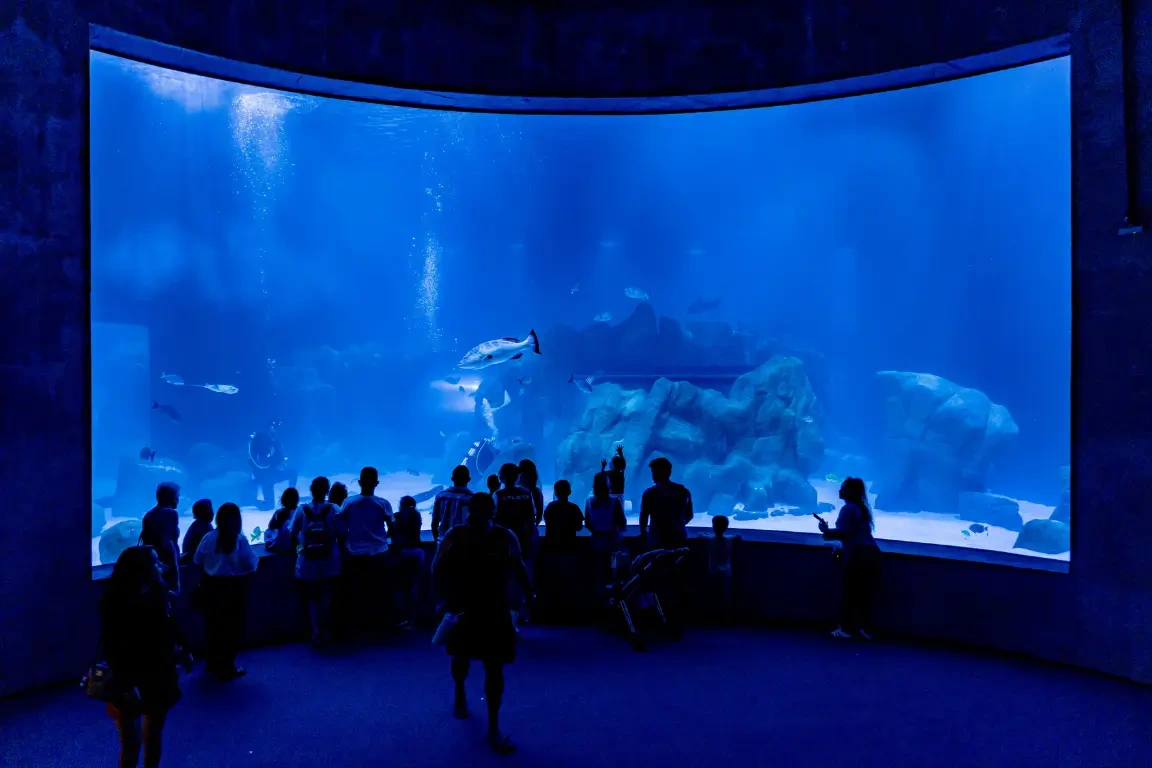 Piscinas y juegos de agua en AquaFoz Foz do Iguaçu