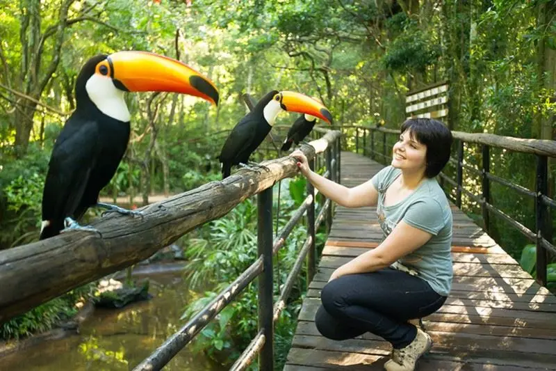 Tucanes en el Parque de las Aves con visitantes